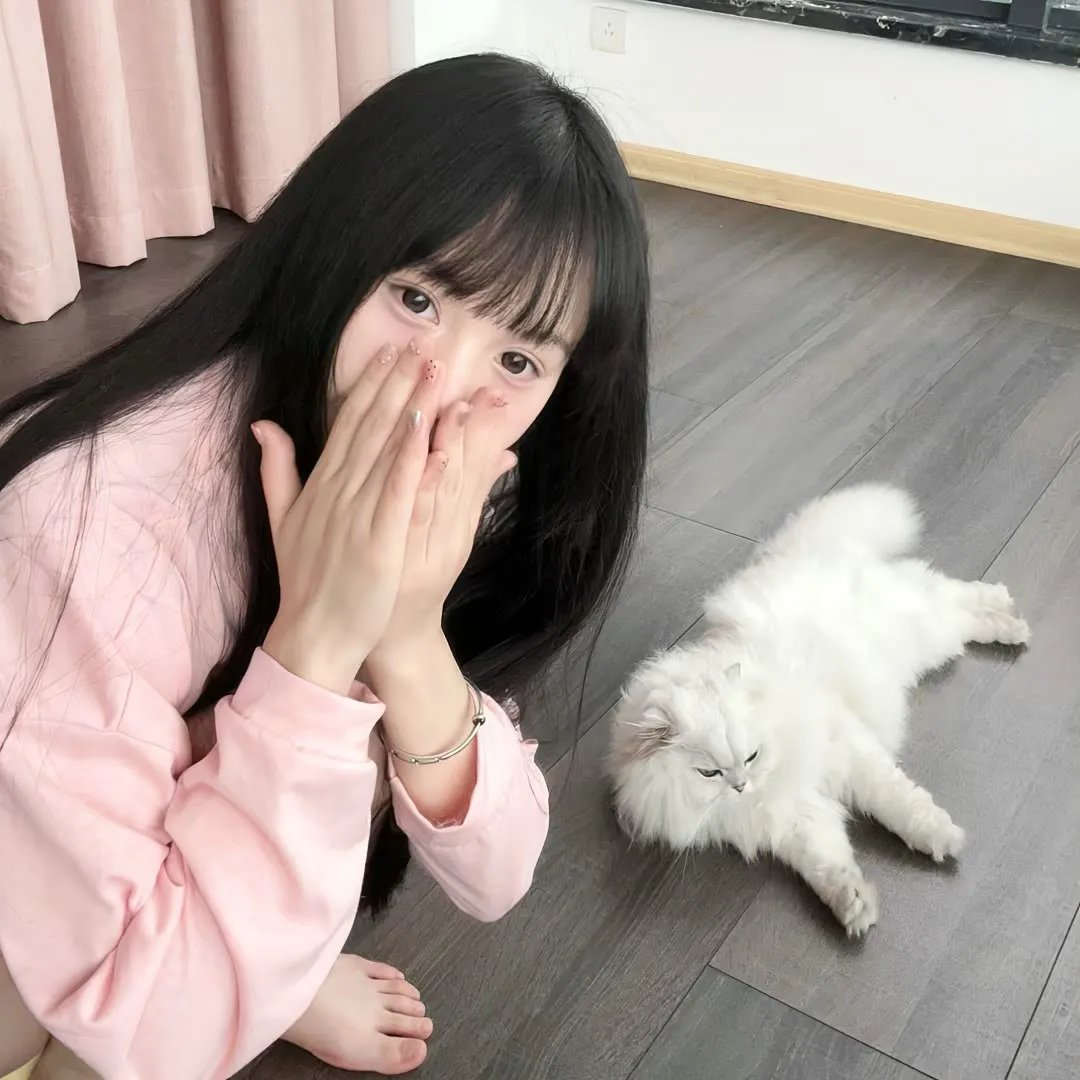 人民公仆第一季